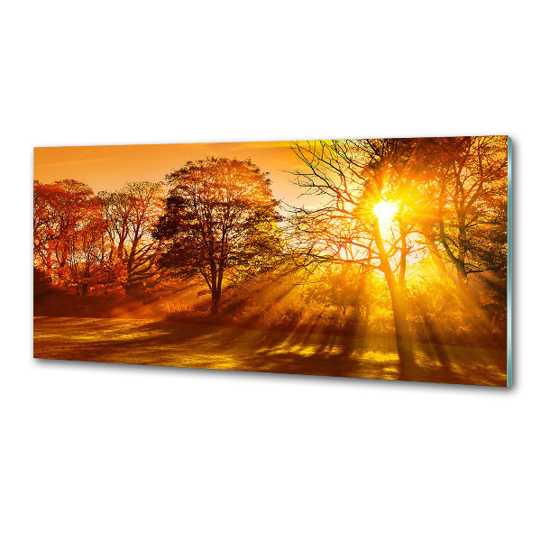 Küchen wandpaneel Sonnenuntergang