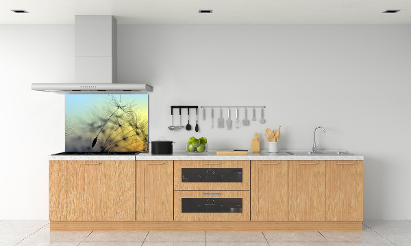 Platte für Küchenrückwand Löwenzahnsamen