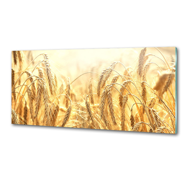 Küchen wandpaneel Getreide