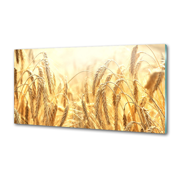 Küchen wandpaneel Getreide