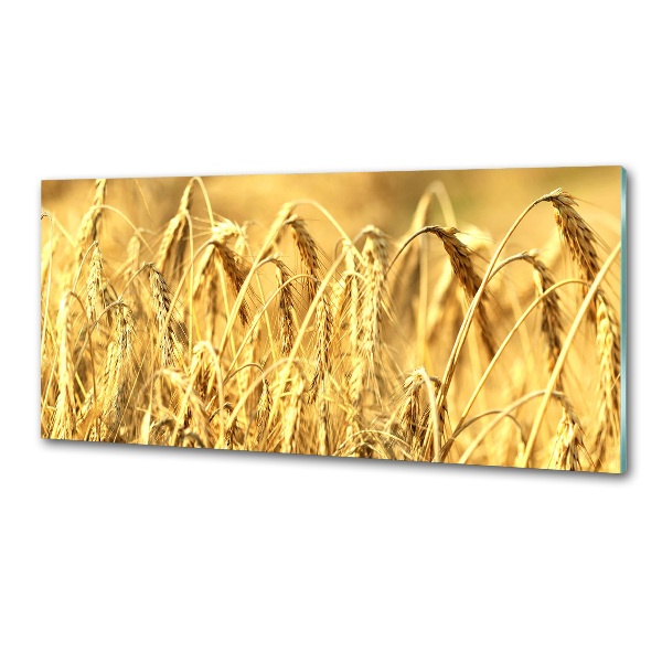 Glasrückwand für die küche Getreide