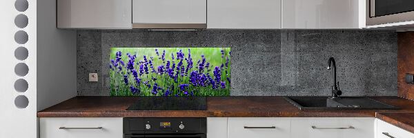 Küchen wandpaneel Lavendel