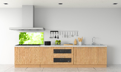 Glasrückwand für die küche Blätter