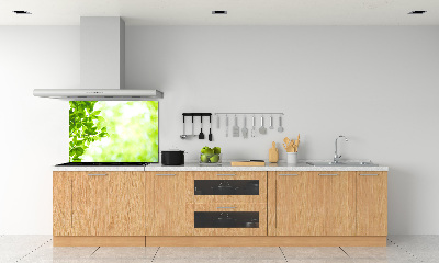 Glasrückwand für die küche Blätter