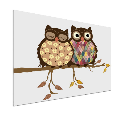 Glasrückwand für die küche Zwei Eulen auf einem Ast