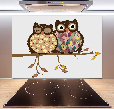 Glasrückwand für die küche Zwei Eulen auf einem Ast