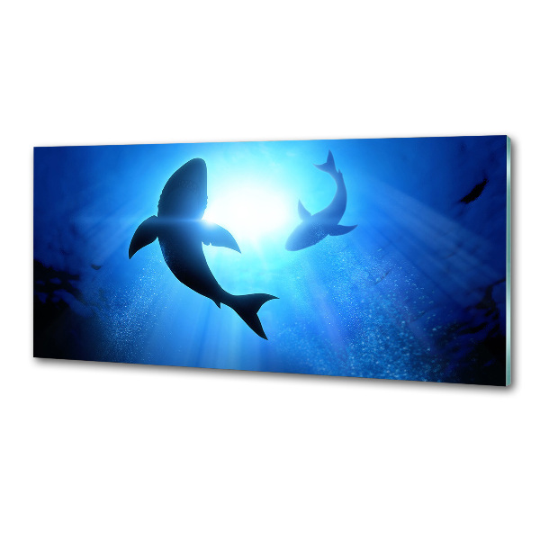 Platte für Küchenrückwand Zwei Haie