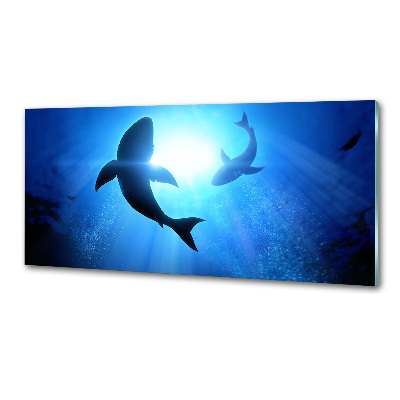 Platte für Küchenrückwand Zwei Haie