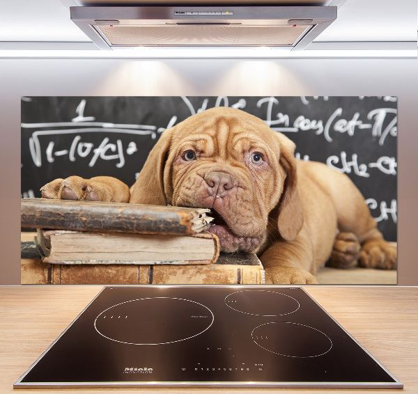 Küchen wandpaneel Der Hund beißt das Buch an