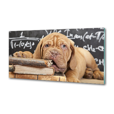 Küchen wandpaneel Der Hund beißt das Buch an