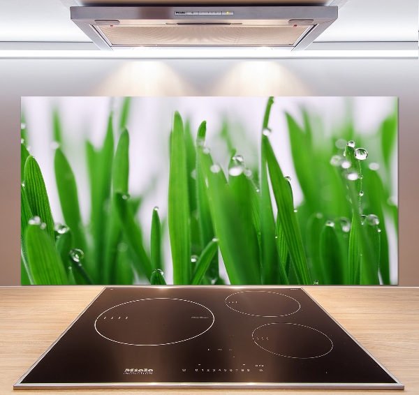 Glasrückwand für die küche Grashalme