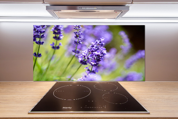 Glasrückwand für die küche Lavendel