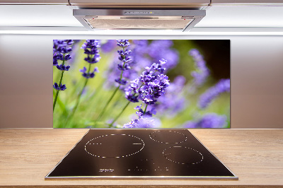 Glasrückwand für die küche Lavendel