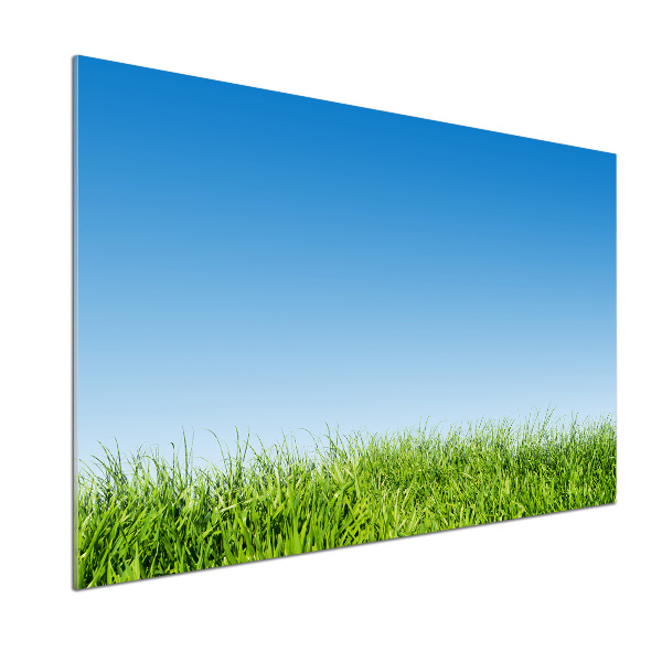 Platte für Küchenrückwand Gras