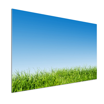 Platte für Küchenrückwand Gras