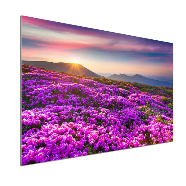 Küchen wandpaneel Blumen in den Bergen