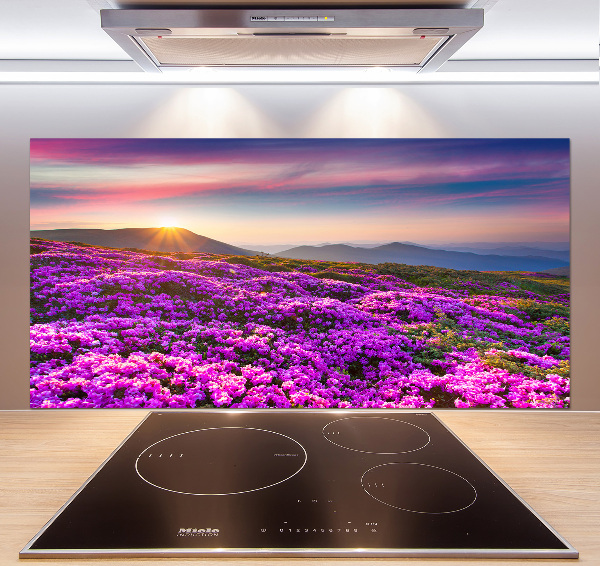 Küchen wandpaneel Blumen in den Bergen