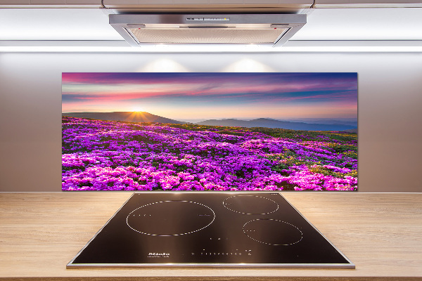 Küchen wandpaneel Blumen in den Bergen