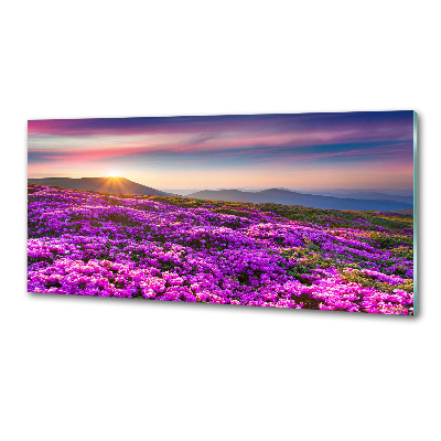 Küchen wandpaneel Blumen in den Bergen