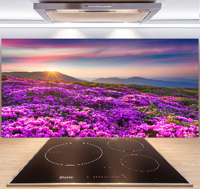 Küchen wandpaneel Blumen in den Bergen