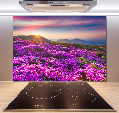 Küchen wandpaneel Blumen in den Bergen