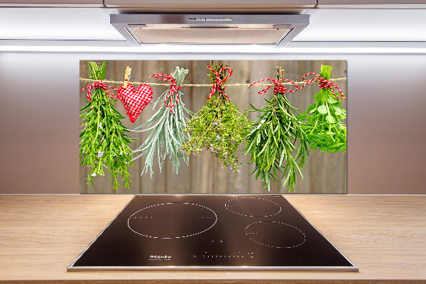 Glasrückwand für die küche Kräuter an einer Schnur