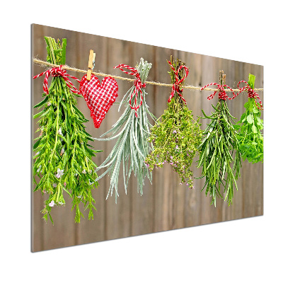 Glasrückwand für die küche Kräuter an einer Schnur