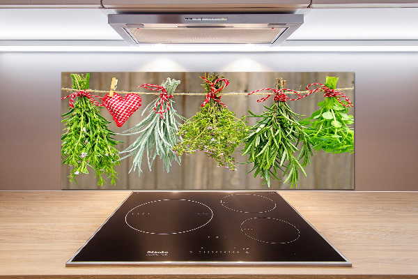 Glasrückwand für die küche Kräuter an einer Schnur