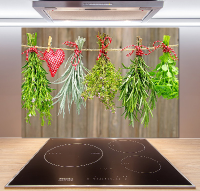 Glasrückwand für die küche Kräuter an einer Schnur