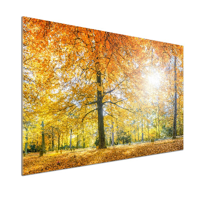 Küchen wandpaneel Wald im Herbst