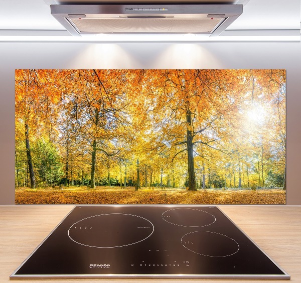 Küchen wandpaneel Wald im Herbst
