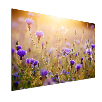 Platte für Küchenrückwand Wildblumen