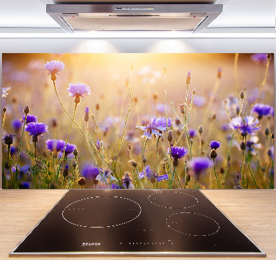 Platte für Küchenrückwand Wildblumen