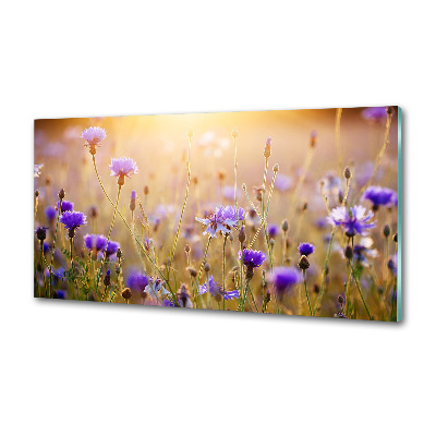 Platte für Küchenrückwand Wildblumen
