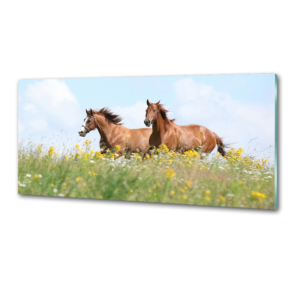 Glasrückwand für die küche Zwei galoppierende Pferde