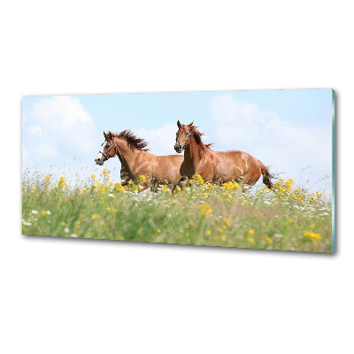 Glasrückwand für die küche Zwei galoppierende Pferde