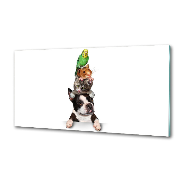 Küchen wandpaneel Eine Gruppe von Tieren