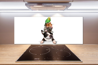 Küchen wandpaneel Eine Gruppe von Tieren