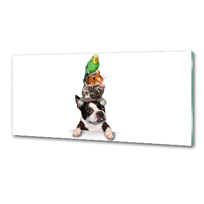 Küchen wandpaneel Eine Gruppe von Tieren