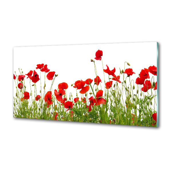 Küchen wandpaneel Mohnblumen