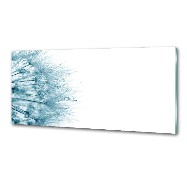 Platte für Küchenrückwand Löwenzahn