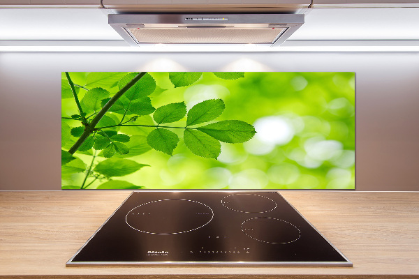 Glasrückwand für die küche Grüne Blätter