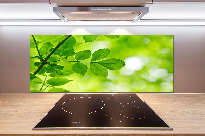 Glasrückwand für die küche Grüne Blätter