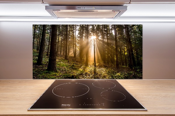 Platte für Küchenrückwand Sonnenlicht