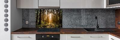 Platte für Küchenrückwand Sonnenlicht