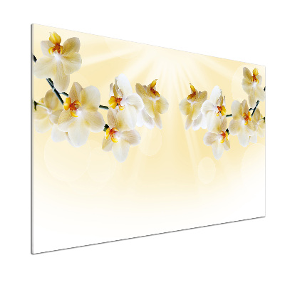 Küchen wandpaneel Orchidee