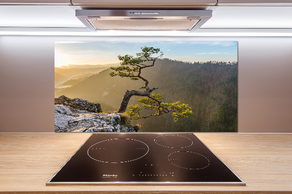 Glasrückwand für die küche Sokolica Pieniny