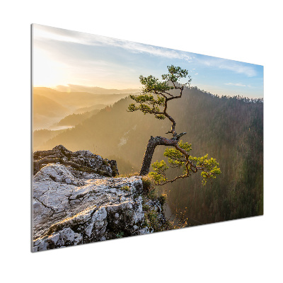 Glasrückwand für die küche Sokolica Pieniny