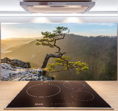 Glasrückwand für die küche Sokolica Pieniny