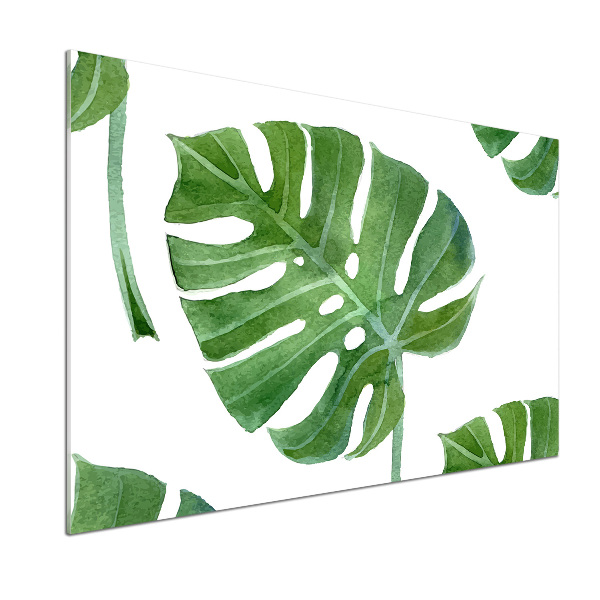 Küchen wandpaneel Monstera